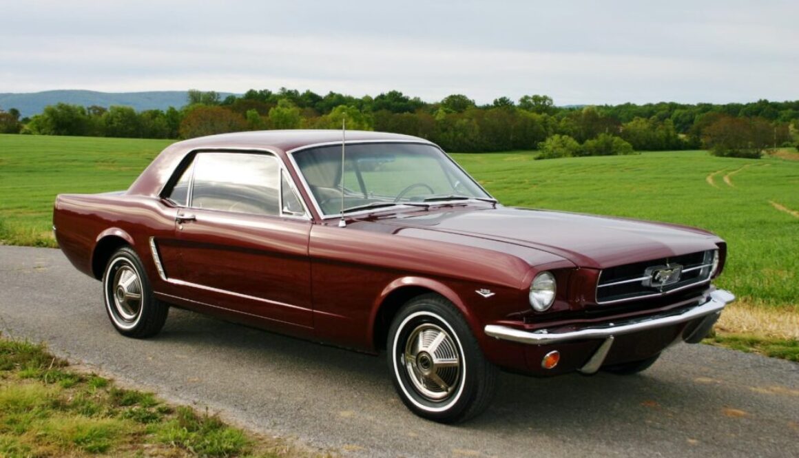 188527522_3870303826372571_6228431774252405235_n