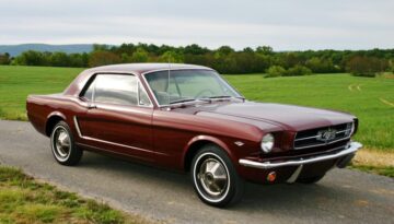 188527522_3870303826372571_6228431774252405235_n