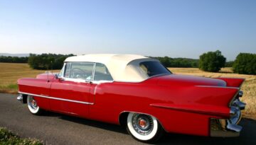 482090954_1083373253593031_9014782911465468664_n